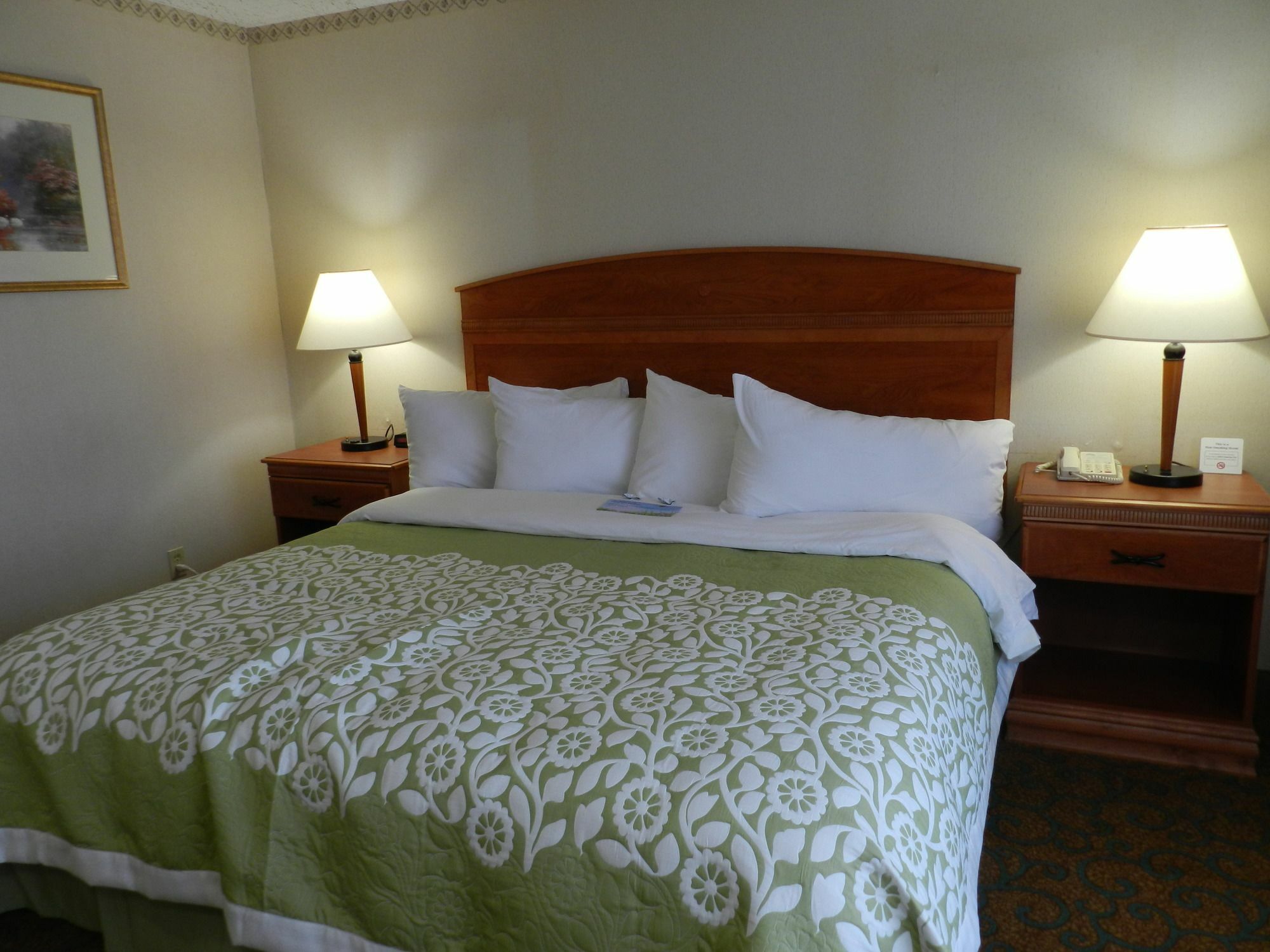 Clarion Pointe Rhinelander Downtown Hotel Exterior foto